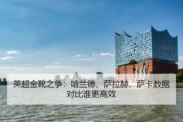 ying-chao-jin-xue-zhi-zheng-ha-lan-de-sa-la-he-sa-ka-shu-ju-dui-bi-shui-geng-gao-xiao-2-989.jpg